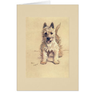  - West Highland White Terrier