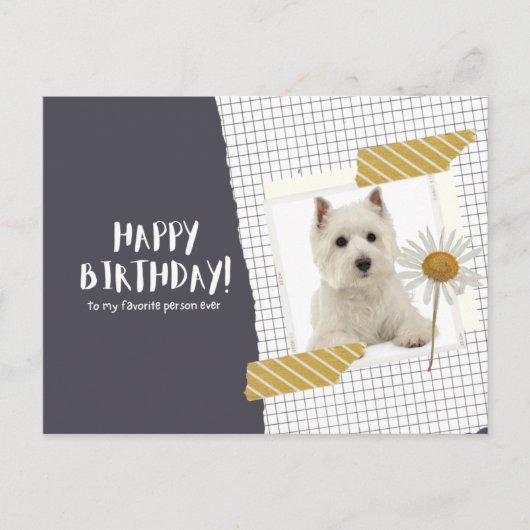 West Highland White Terrier Briefkaart (Voorkant)