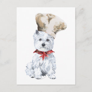 West Highland White Terrier Chef-kok Briefkaart