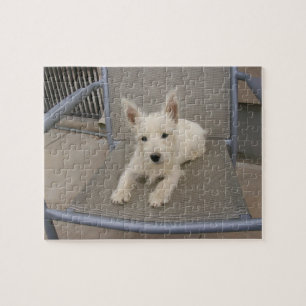 West Highland White Terrier Dog Puzzle Legpuzzel