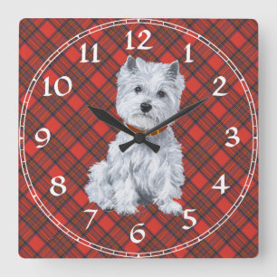 West Highland White Terrier Klok