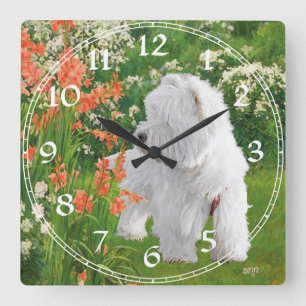 West Highland White Terrier Klok