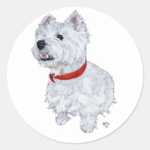 West Highland White Terrier - Omhoog kijkend Ronde Sticker