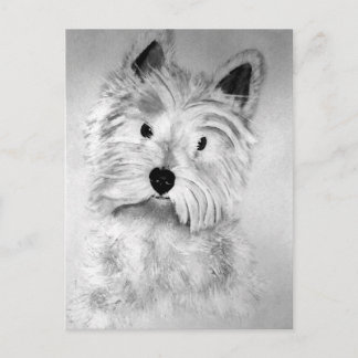 West Highland White Terrier Postcard Briefkaart