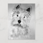 West Highland White Terrier Postcard Briefkaart (Voorkant)