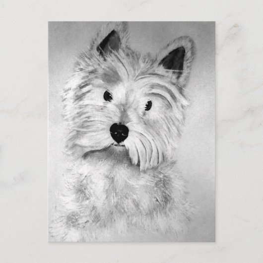 West Highland White Terrier Postcard Briefkaart (Voorkant)