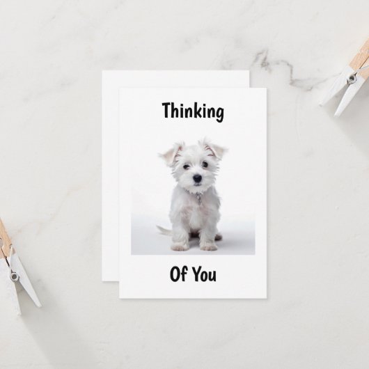 West Highland white terrier pup zittend nadenkend Kaart (Voorkant / Achterkant in situ)
