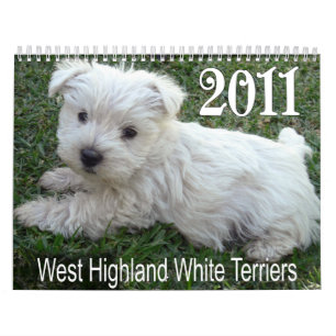 West Highland White Terrier Puppies Calendar 2011 Kalender