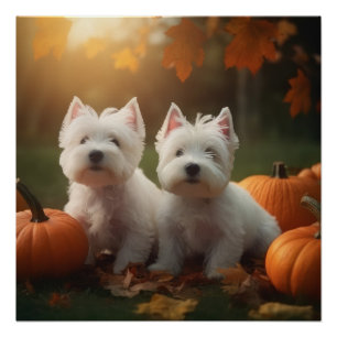 West Highland White Terrier Puppy Herfst Pompoen Perfect Poster