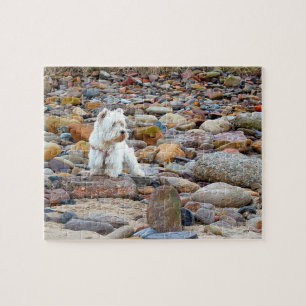 West Highland White Terrier-puzzel Legpuzzel