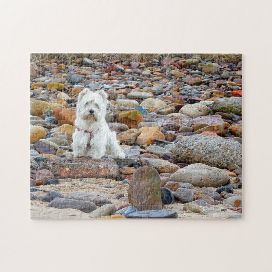 West Highland White Terrier Puzzle Legpuzzel (Horizontaal)