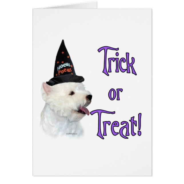 West Highland White Terrier Trick (Devant)