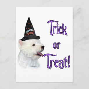 West Highland White Terrier truc Briefkaart