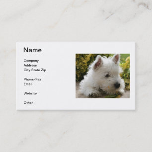 West Highland White Terrier Visitekaartje
