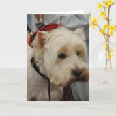 West Highland White Terrier Wenskaarten Kaart (Gele Bloem)