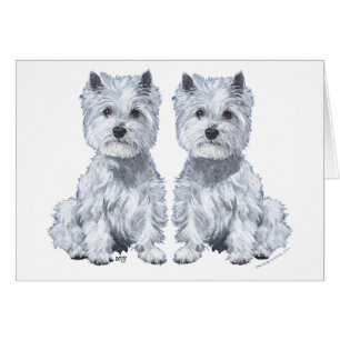West Highland White Terrier Zittende Tweeling!