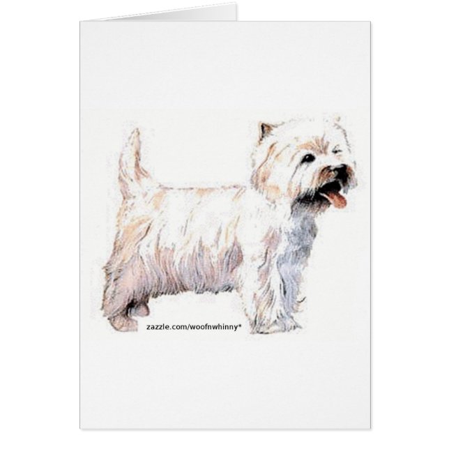 West Highland White Terriers (Devant)