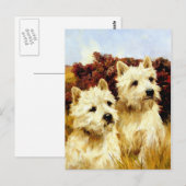 West highland White Terriers - Wardle Briefkaart (Voorkant / Achterkant)