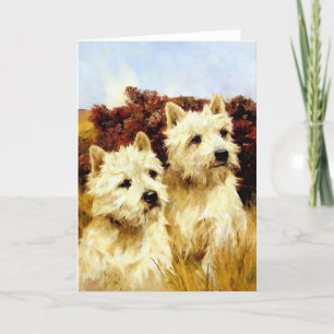 West highland White Terriers - Wardle Kaart