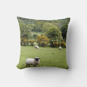 West-Ierland, Dingle-schiereiland Kussen