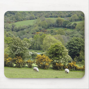 West-Ierland, schiereiland Dingle, breed Muismat