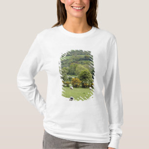 West-Ierland, schiereiland Dingle, breed T-shirt