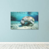 West-Indische Manatee Canvas Afdruk (Insitu (Houten vloer))