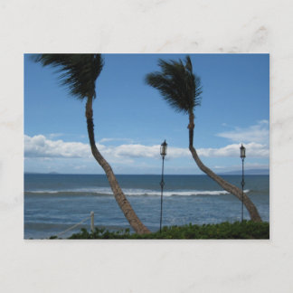 West-Maui Palms Briefkaart