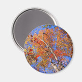 West Mt. Autumn Hot Springs National Park Gifts Magneet (Voorkant / Achterkant)