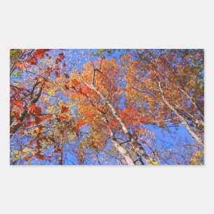 West Mt. Autumn Hot Springs National Park Gifts Rechthoekige Sticker