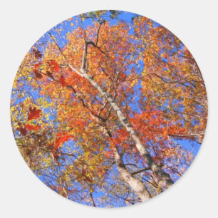 West Mt. Autumn Hot Springs National Park Gifts Ronde Sticker