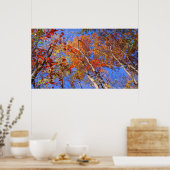 West Mt. Autumn Hot Springs National Park Poster (Keuken)