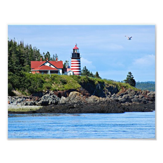 West Quoddy Head Lighthouse, Maine Foto Afdruk (Voorkant)