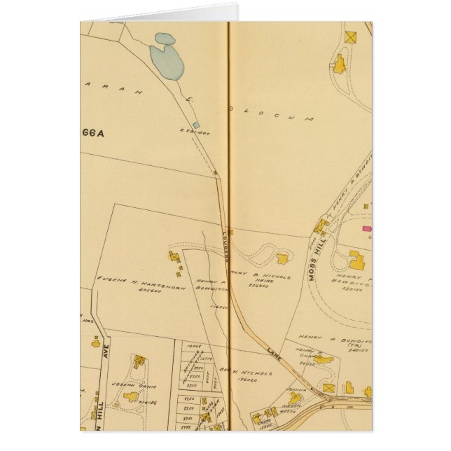 West Roxbury, Massachusetts 6 (Voorkant)