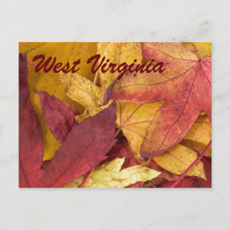 West Virginia Herfstbladeren Ansichtkaart Briefkaart