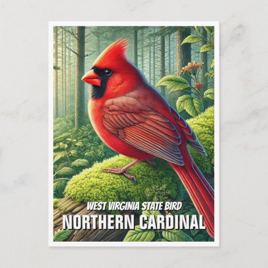 West Virginia State Bird - Noordelijke Kardinaal Briefkaart (Voorkant)