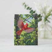 West Virginia State Bird Northern Cardinal Briefkaart (Staand voorkant)
