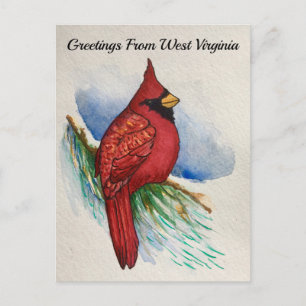 West Virginia State Bird Waterverf Briefkaart
