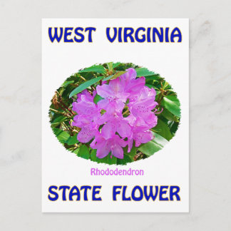 West Virginia State Flower T-Shirts & Gifts Briefkaart