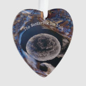 Westbrook Ice Disk Maine (devant)