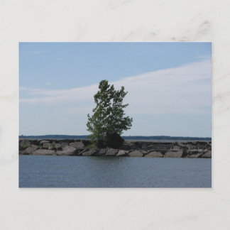 Westcott Bay Briefkaart