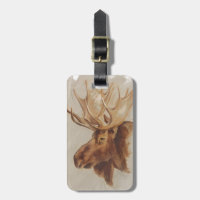 Western Amerikaans dieronderzoek | Moose Portret