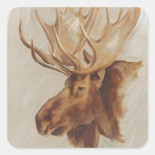 Western Amerikaans dieronderzoek Moose Portret Vierkante Sticker