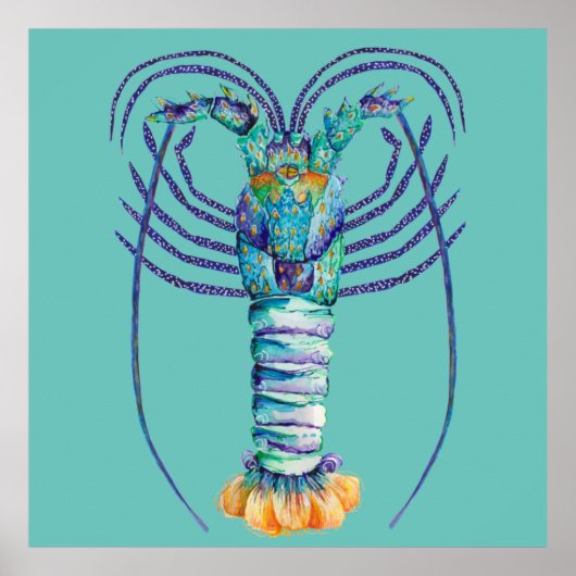 Western Australisch Poster met schildpadden (Voorkant)