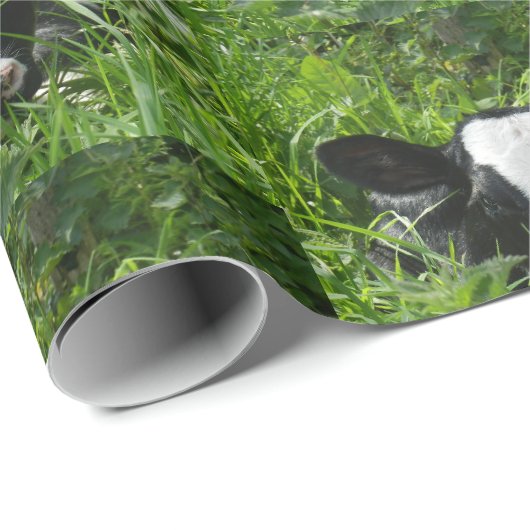 Western Boerderij Ranch Holstein Calf in gras Cadeaupapier (Rol Hoek)