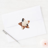 Western bruin zwart wit Koeienhuid Ster Sticker (Envelop)