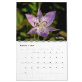Western Fleurs sauvages, calendrier 2023 (Feb 2027)