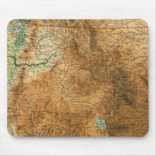 Western gedeelte Verenigde Staten Muismat