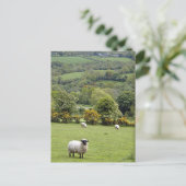 Western Ierland, Dingle breed Schiereiland, Briefkaart (Staand voorkant)