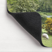 Western Ierland, Dingle Peninsula, breed Muismat (Hoek)